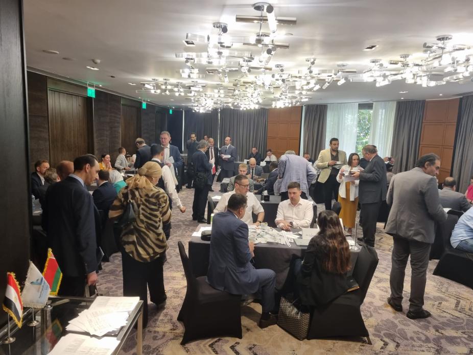 Business visit of the Belarusian delegation to Egypt